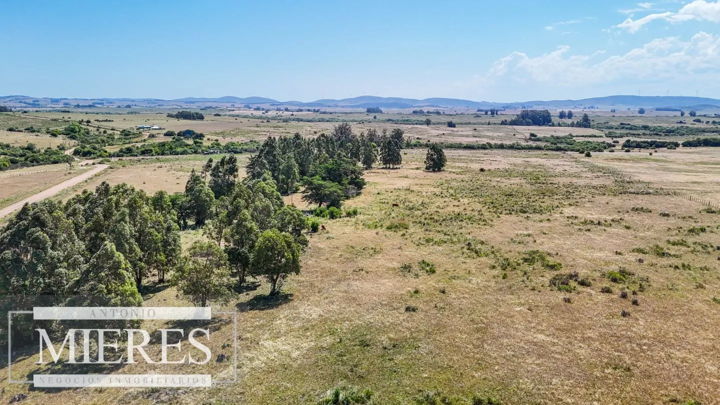 Campo en venta de 49 ha Maldonado, Uruguay. — foto 11
