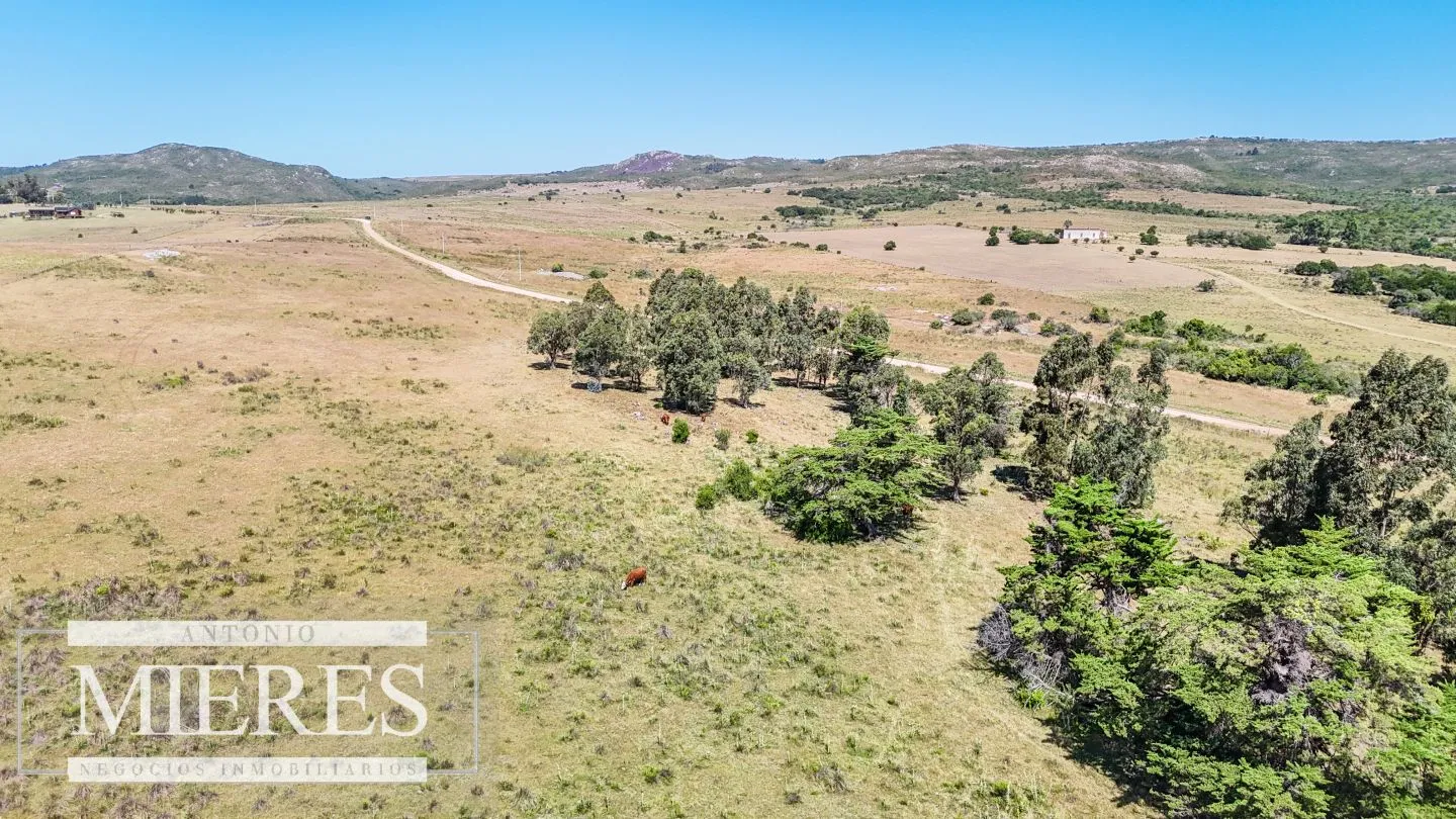 Campo en venta de 49 ha Maldonado, Uruguay. — foto 12
