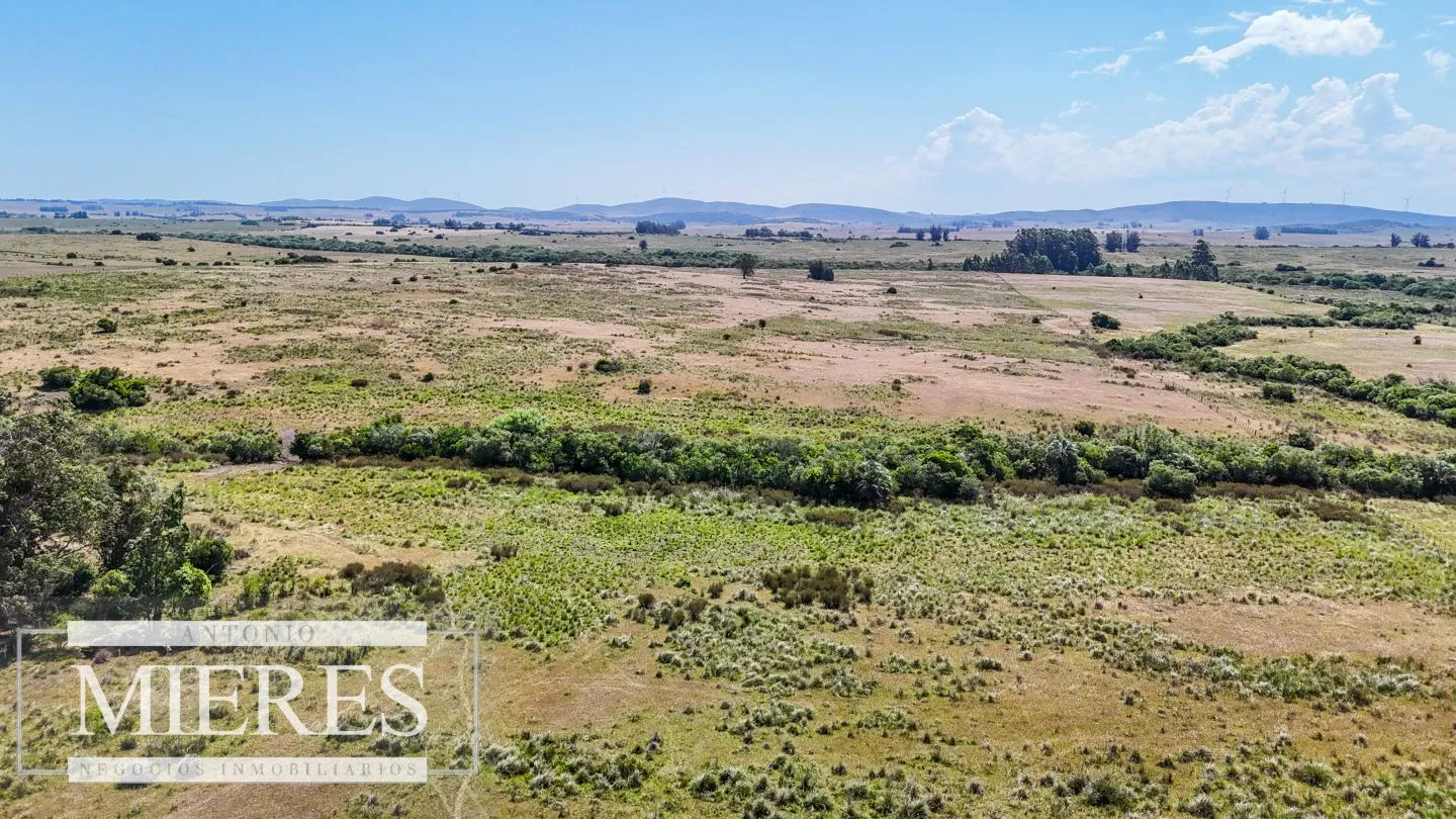 Campo en venta de 49 ha Maldonado, Uruguay. — foto 13
