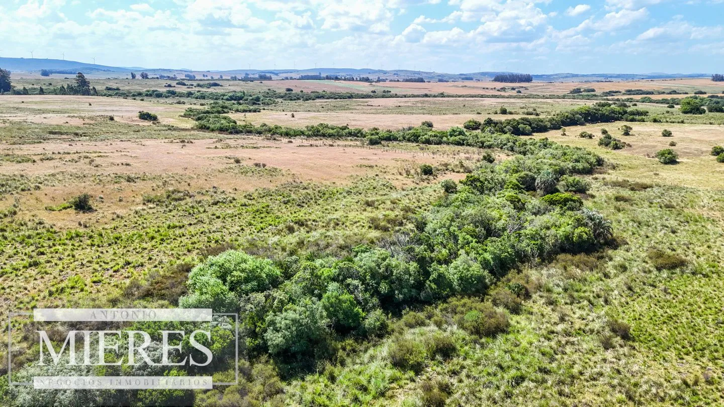 Campo en venta de 49 ha Maldonado, Uruguay. — foto 14