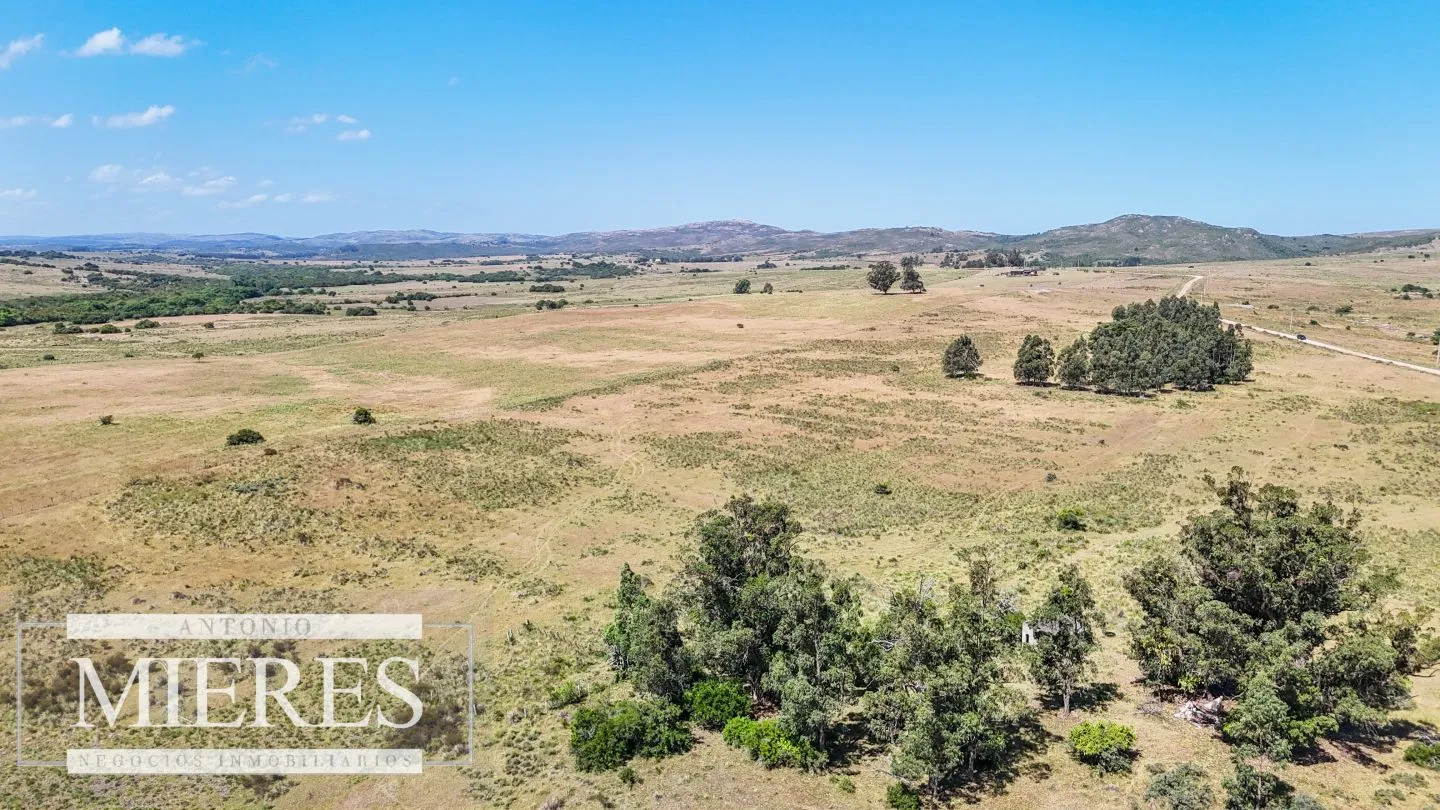Campo en venta de 49 ha Maldonado, Uruguay. — foto 15