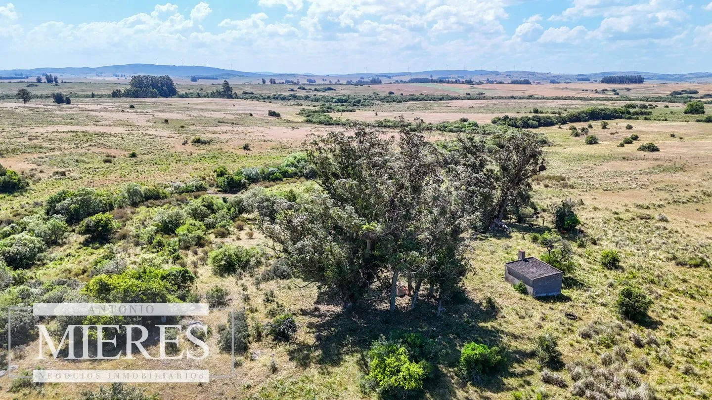 Campo en venta de 49 ha Maldonado, Uruguay. — foto 16