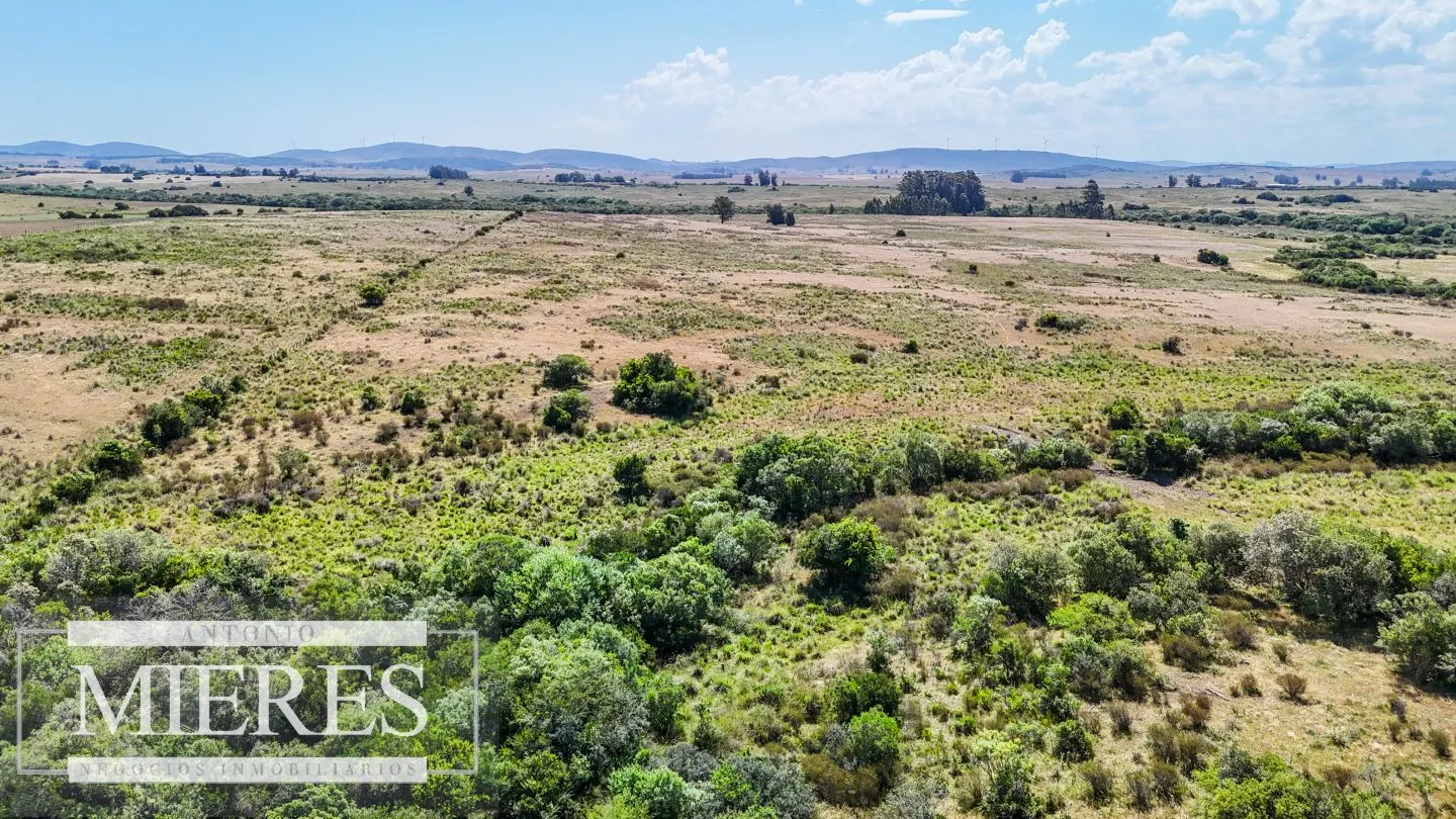 Campo en venta de 49 ha Maldonado, Uruguay. — foto 17