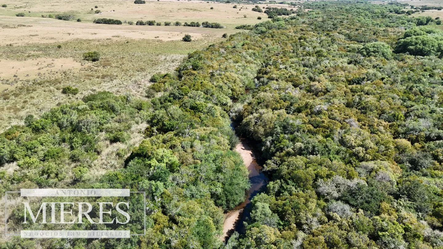 Campo en venta de 49 ha Maldonado, Uruguay. — foto 19