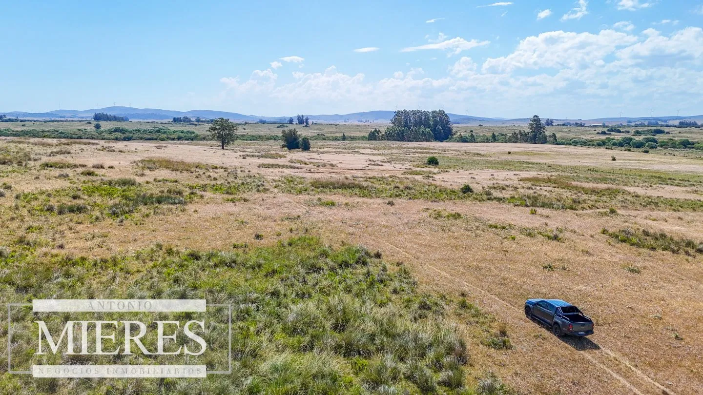 Campo en venta de 49 ha Maldonado, Uruguay. — foto 20