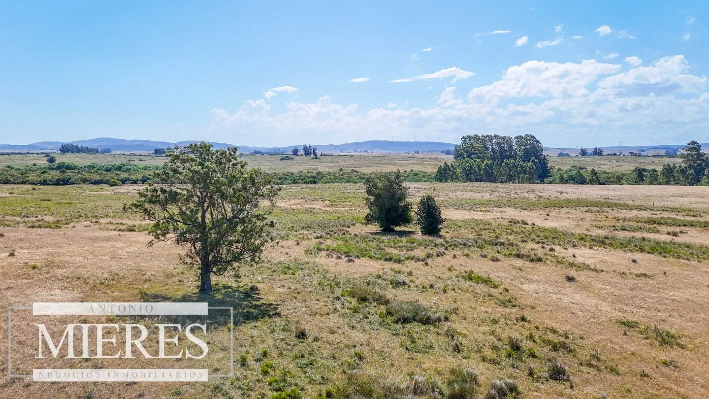 Campo en venta de 49 ha Maldonado, Uruguay. — foto 21