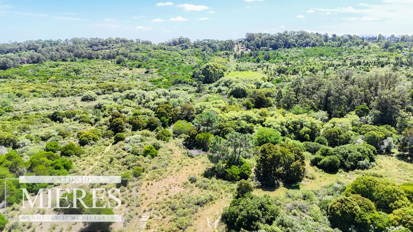Venta Lotes La Martina- Punta Ballena — foto 8
