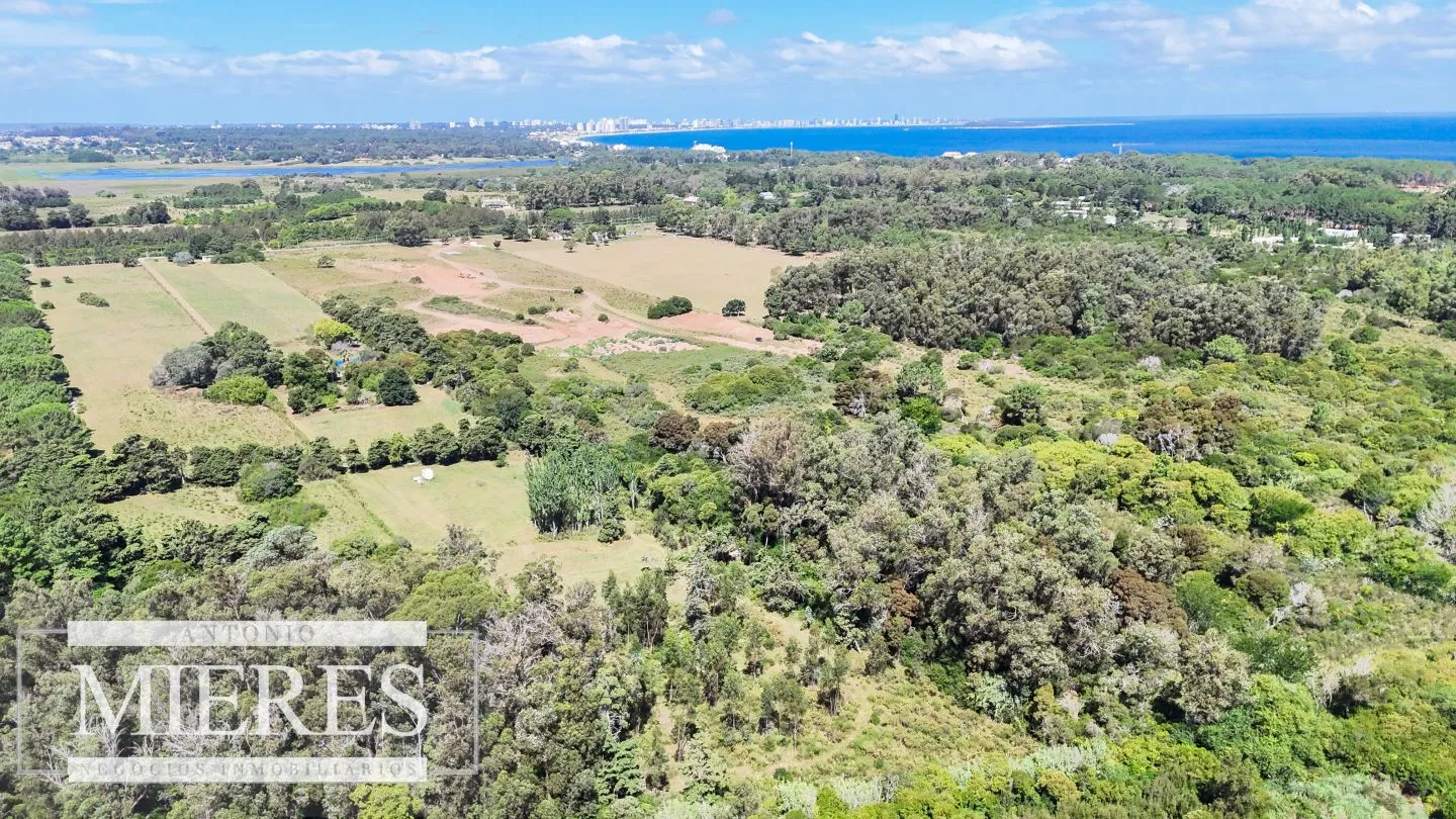 Venta Lotes La Martina- Punta Ballena — foto 11