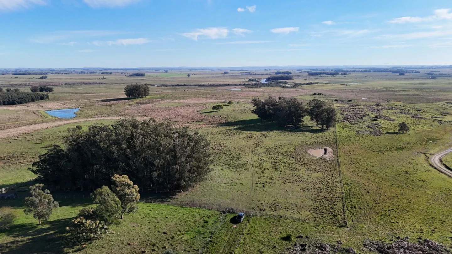 Campo en venta de 24 ha en ruta 10 las Garzas Rocha Uruguay — foto 1