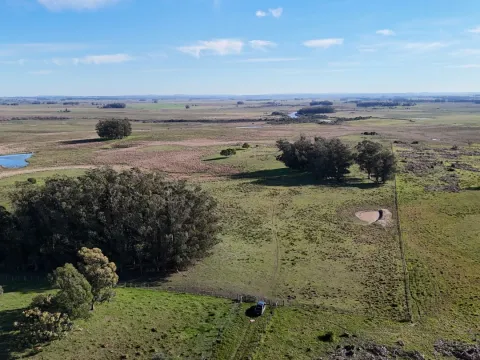 Campo en venta de 24 ha en ruta 10 las Garzas Rocha Uruguay