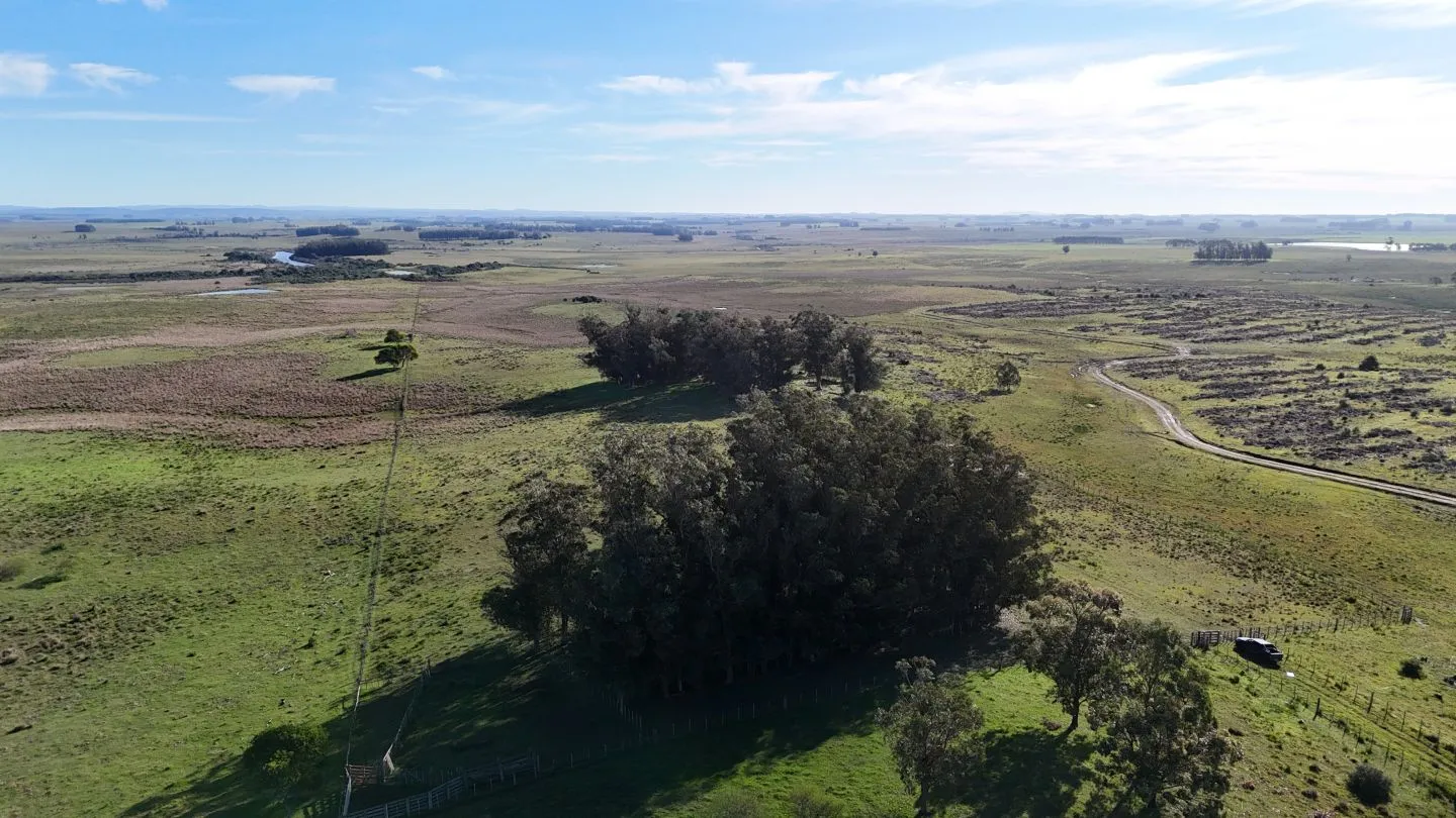 Campo en venta de 24 ha en ruta 10 las Garzas Rocha Uruguay — foto 2