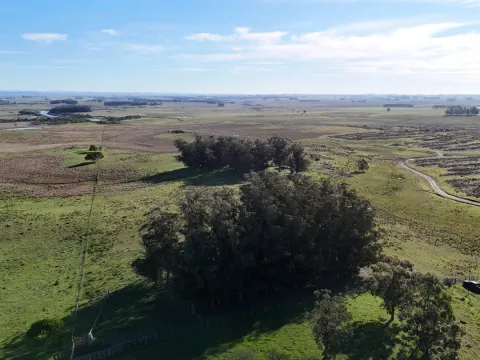 Campo en venta de 24 ha en ruta 10 las Garzas Rocha Uruguay — foto 2