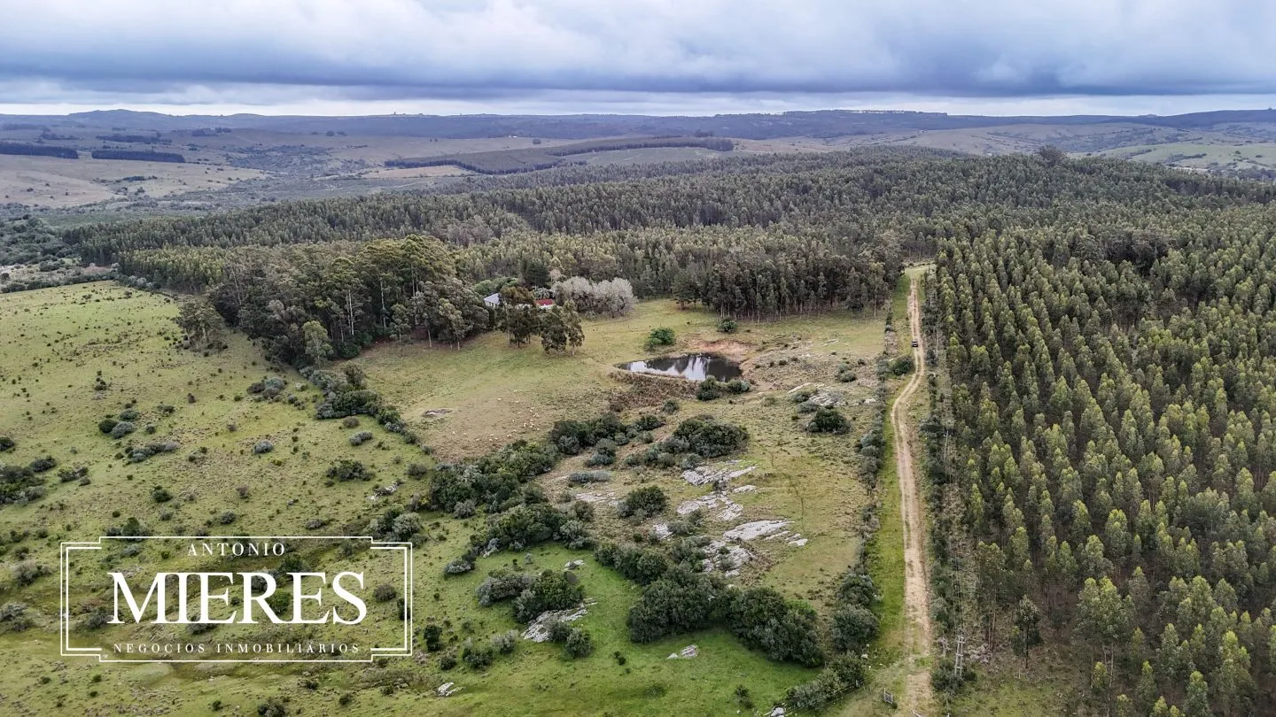 Chacra de 5 ha en venta con casco del siglo XVIII reformado, Maldonado Uruguay. — foto 1
