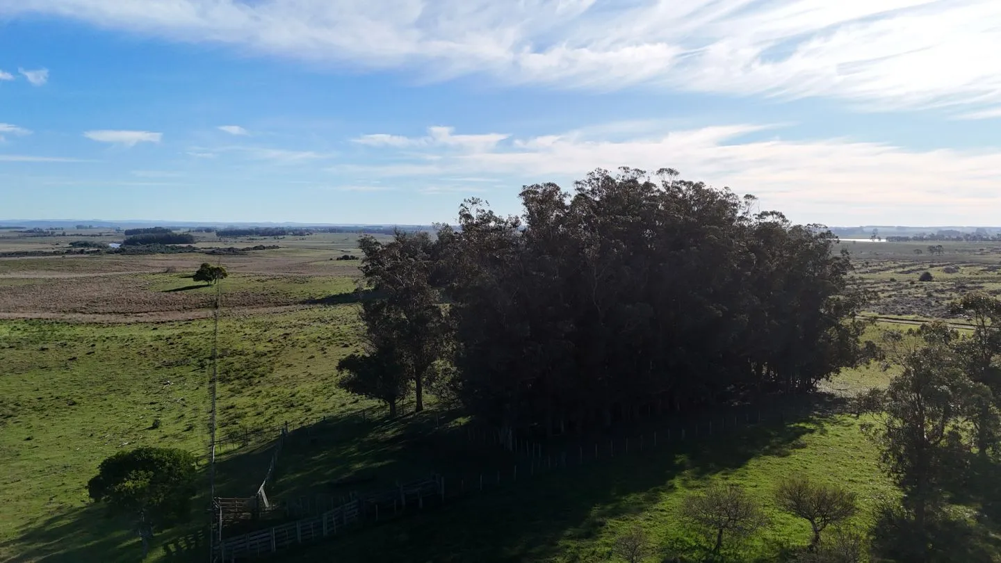 Campo en venta de 24 ha en ruta 10 las Garzas Rocha Uruguay — foto 3