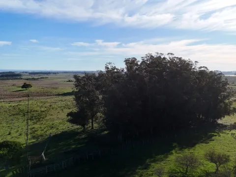 Campo en venta de 24 ha en ruta 10 las Garzas Rocha Uruguay — foto 3
