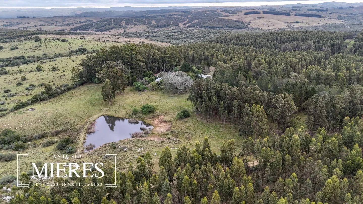 Chacra de 5 ha en venta con casco del siglo XVIII reformado, Maldonado Uruguay. — foto 2
