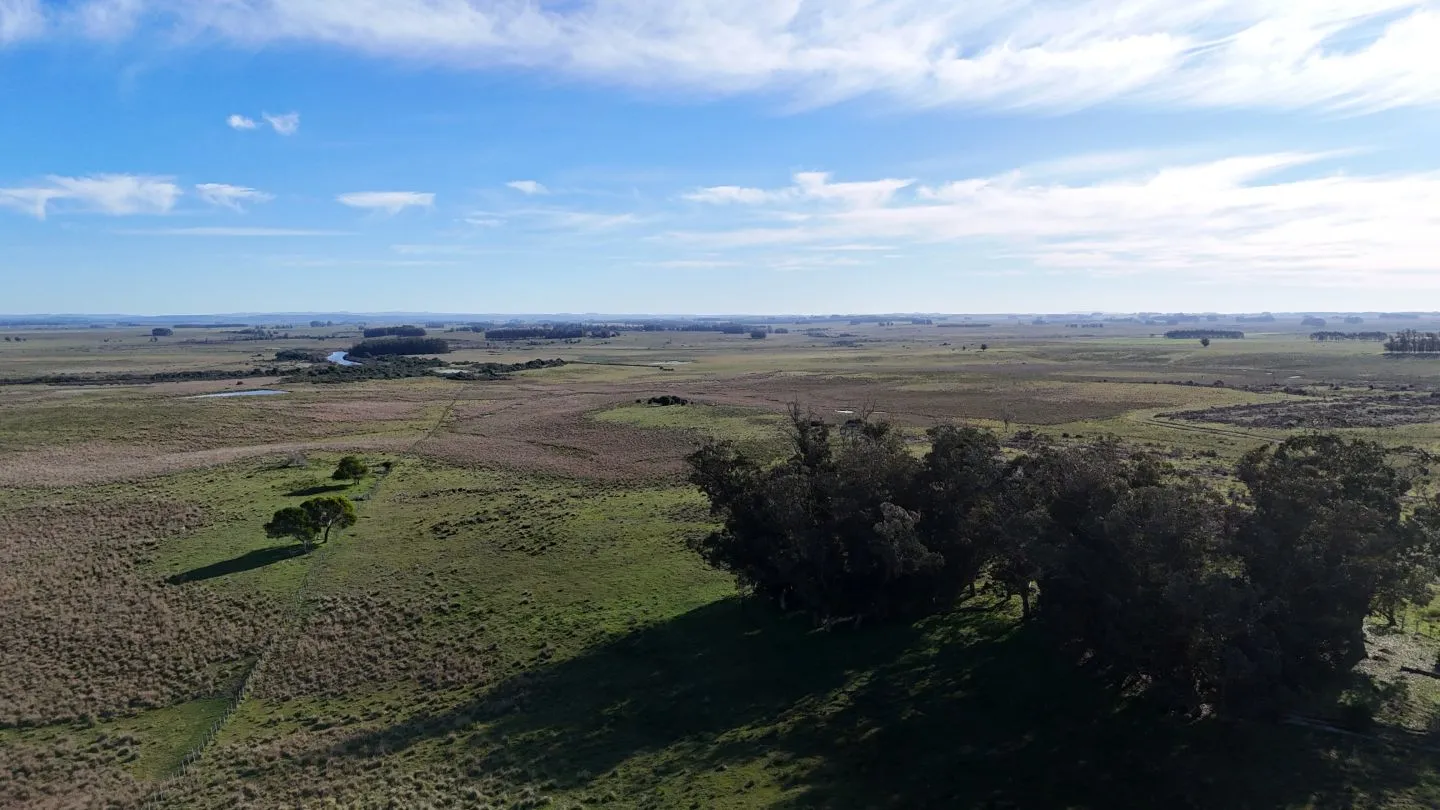 Campo en venta de 24 ha en ruta 10 las Garzas Rocha Uruguay — foto 4