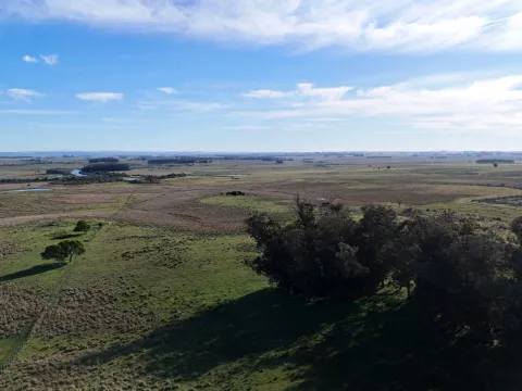 Campo en venta de 24 ha en ruta 10 las Garzas Rocha Uruguay — foto 4
