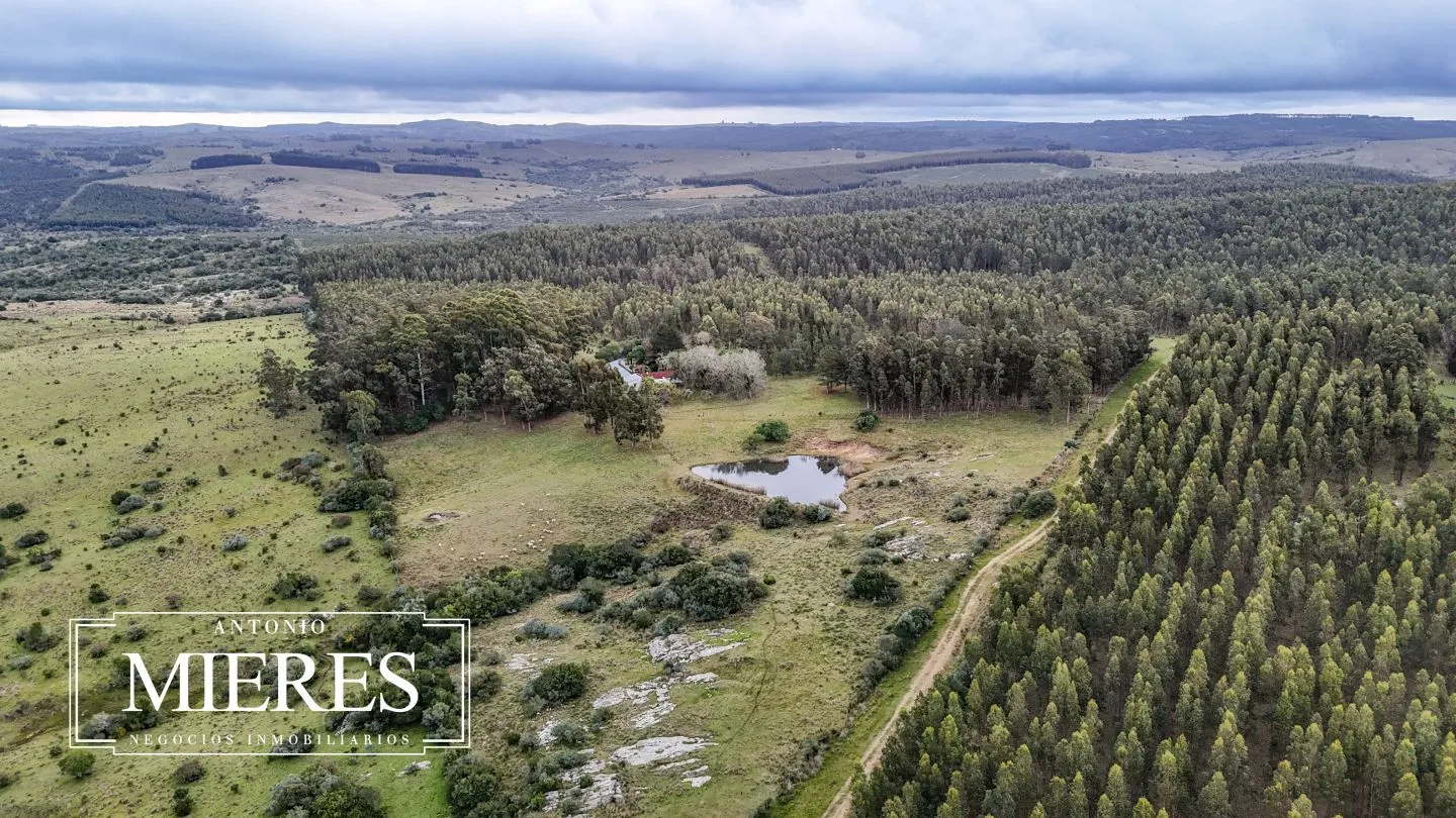 Chacra de 5 ha en venta con casco del siglo XVIII reformado, Maldonado Uruguay. — foto 3