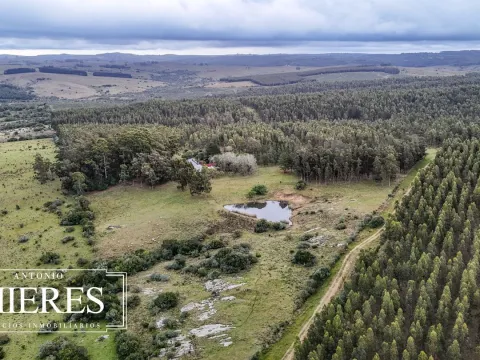 Chacra de 5 ha en venta con casco del siglo XVIII reformado, Maldonado Uruguay. — foto 3