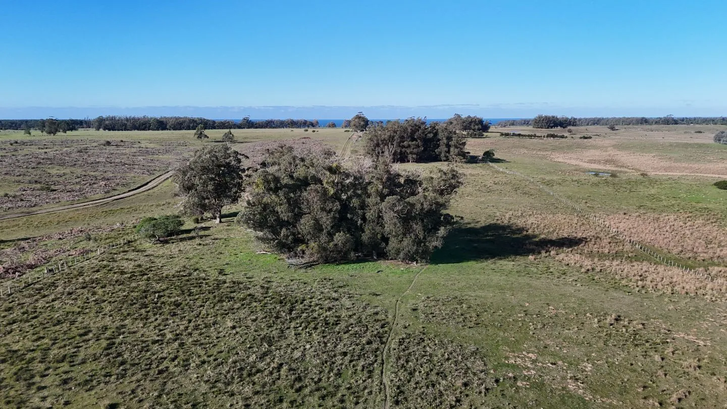 Campo en venta de 24 ha en ruta 10 las Garzas Rocha Uruguay — foto 5