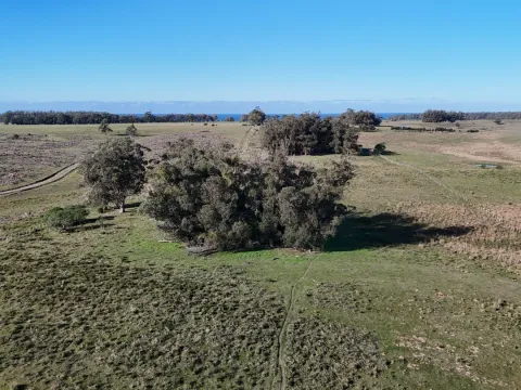 Campo en venta de 24 ha en ruta 10 las Garzas Rocha Uruguay — foto 5
