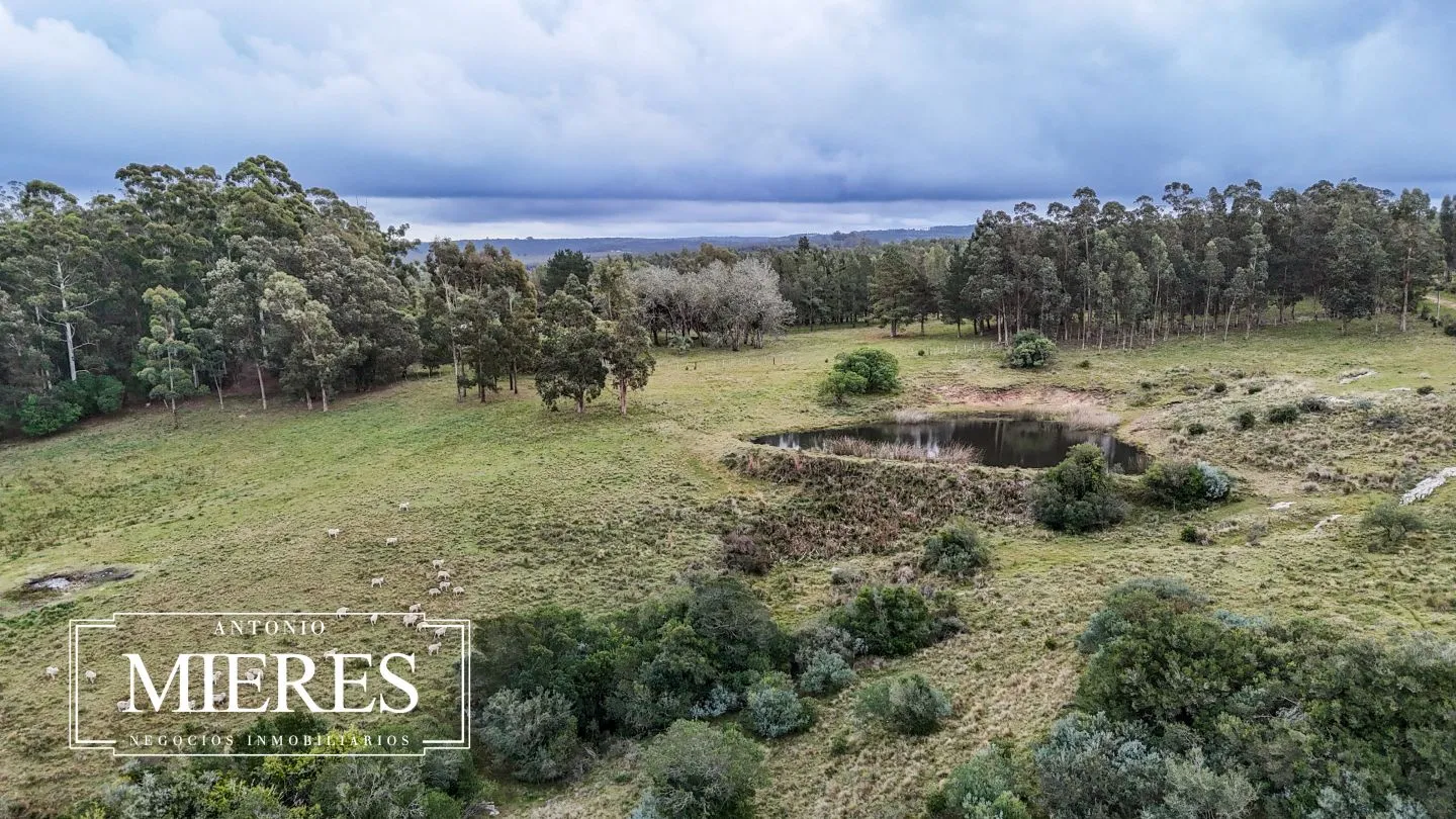 Chacra de 5 ha en venta con casco del siglo XVIII reformado, Maldonado Uruguay. — foto 4