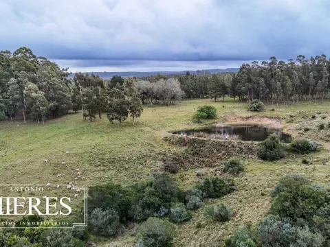 Chacra de 5 ha en venta con casco del siglo XVIII reformado, Maldonado Uruguay. — foto 4