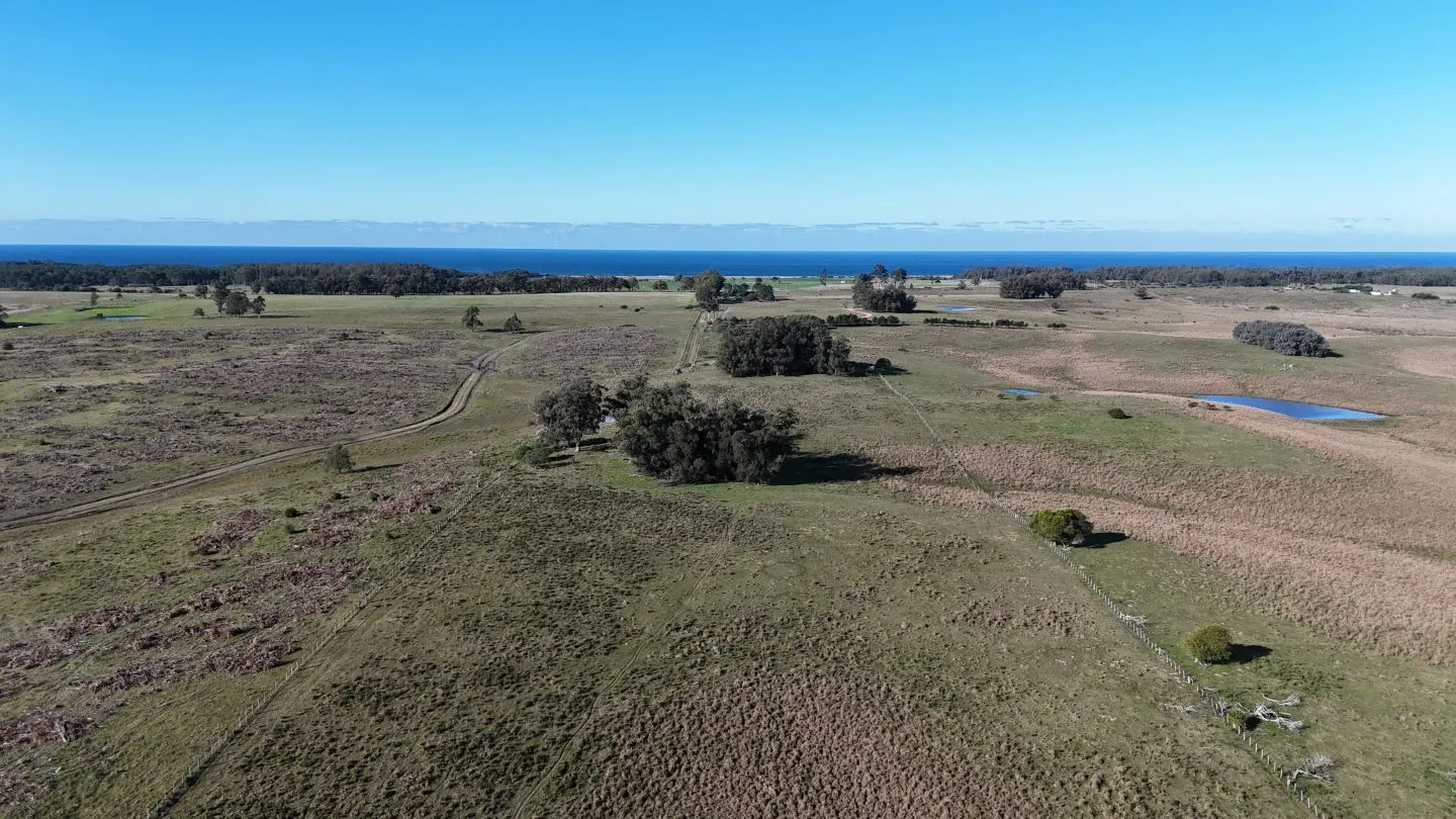 Campo en venta de 24 ha en ruta 10 las Garzas Rocha Uruguay — foto 6