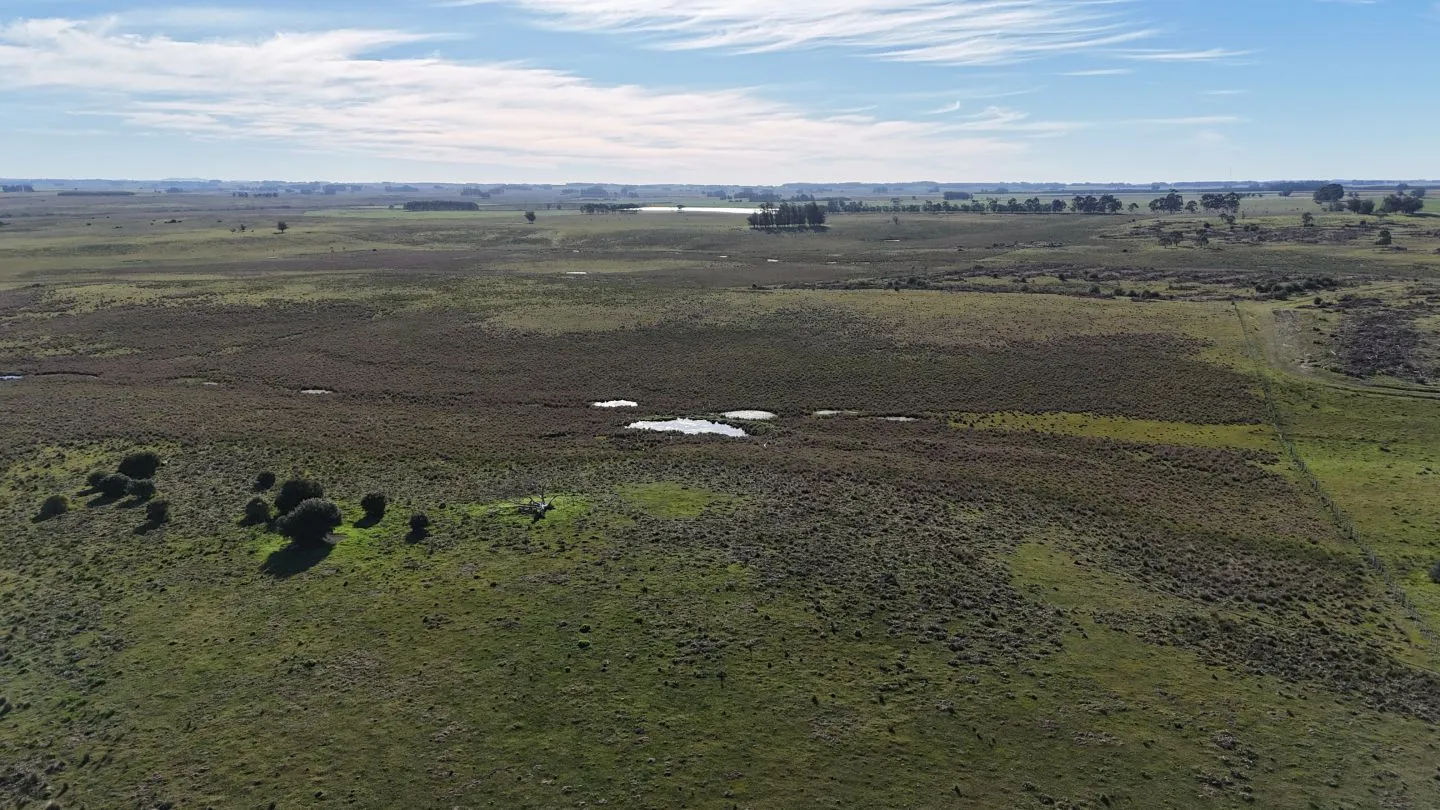 Campo en venta de 24 ha en ruta 10 las Garzas Rocha Uruguay — foto 7