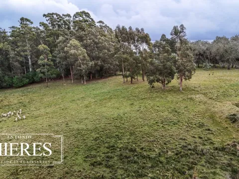 Chacra de 5 ha en venta con casco del siglo XVIII reformado, Maldonado Uruguay. — foto 5