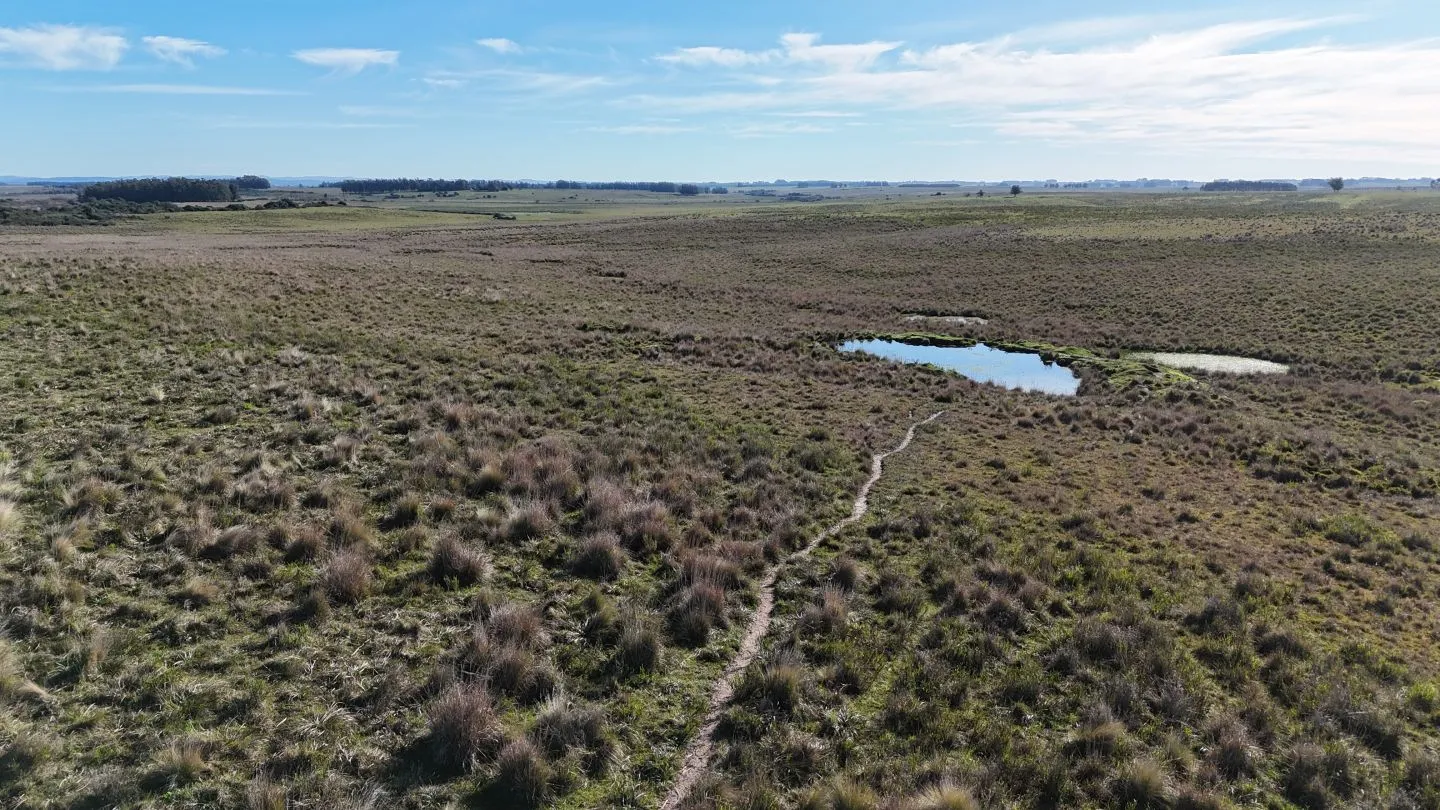 Campo en venta de 24 ha en ruta 10 las Garzas Rocha Uruguay — foto 8