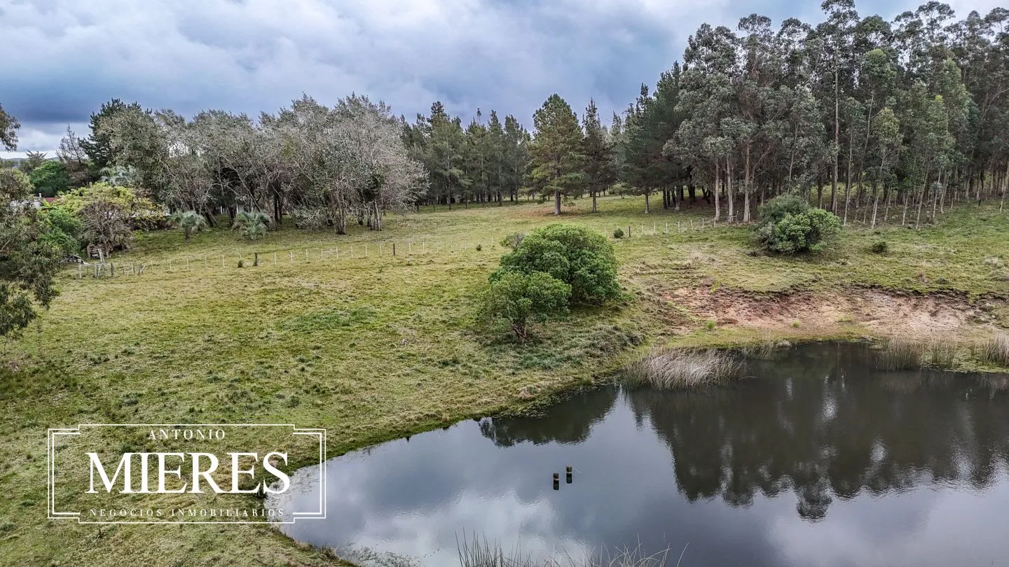 Chacra de 5 ha en venta con casco del siglo XVIII reformado, Maldonado Uruguay. — foto 6