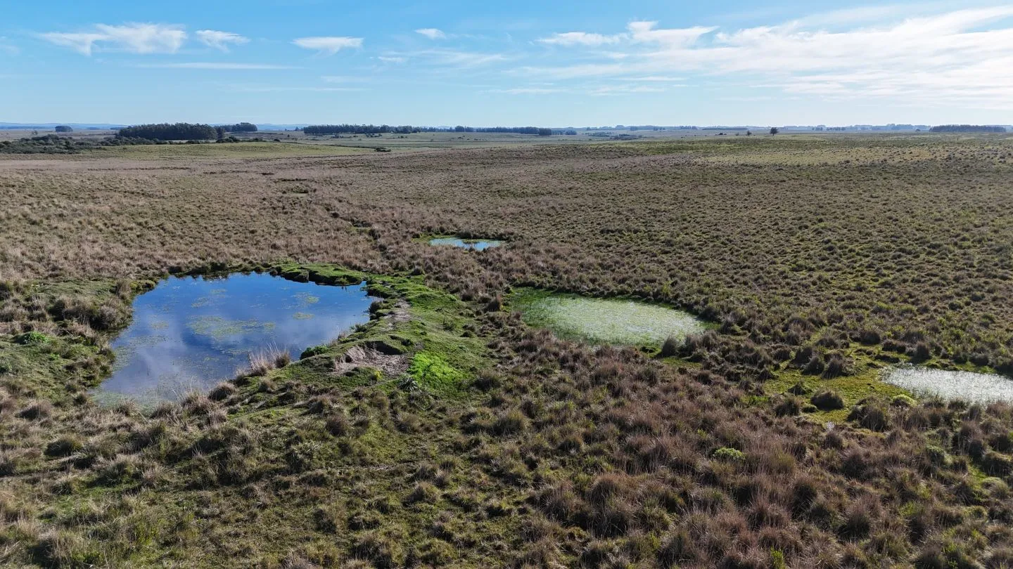 Campo en venta de 24 ha en ruta 10 las Garzas Rocha Uruguay — foto 9