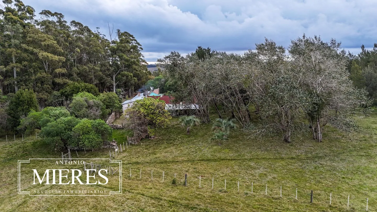 Chacra de 5 ha en venta con casco del siglo XVIII reformado, Maldonado Uruguay. — foto 7