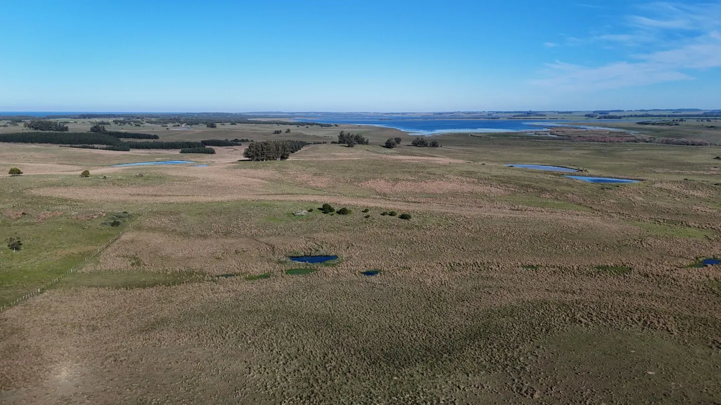 Campo en venta de 24 ha en ruta 10 las Garzas Rocha Uruguay — foto 10