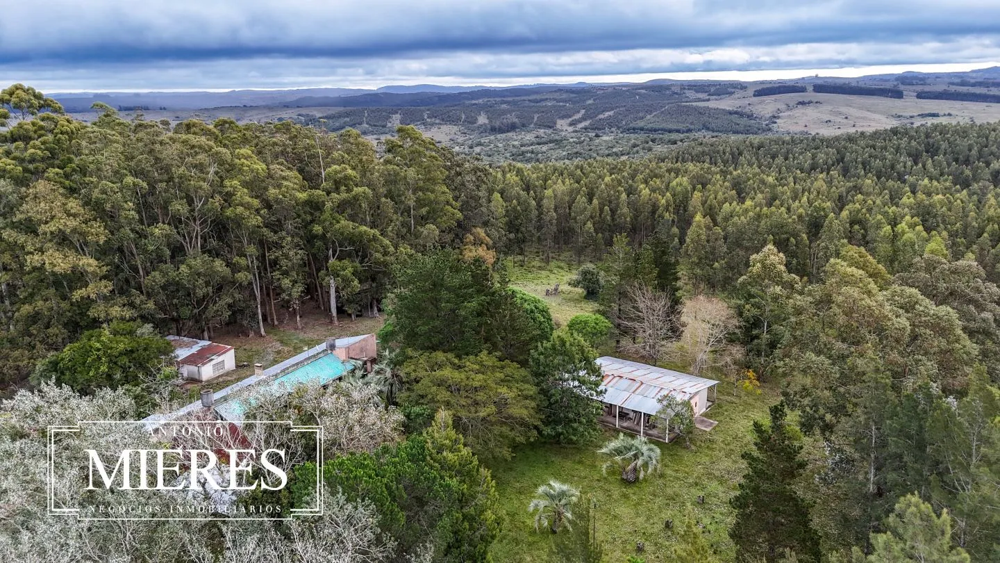 Chacra de 5 ha en venta con casco del siglo XVIII reformado, Maldonado Uruguay. — foto 8