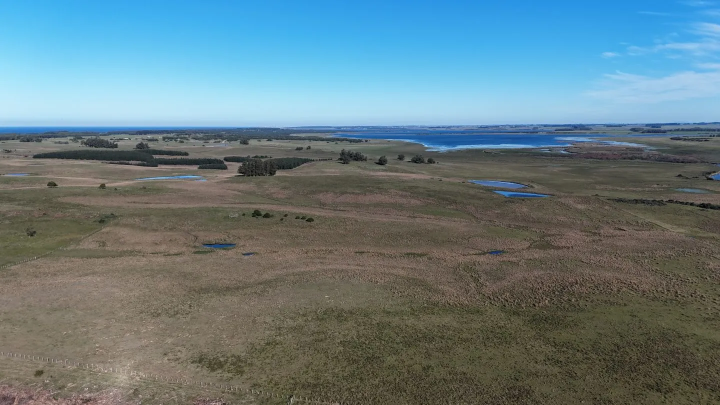 Campo en venta de 24 ha en ruta 10 las Garzas Rocha Uruguay — foto 11