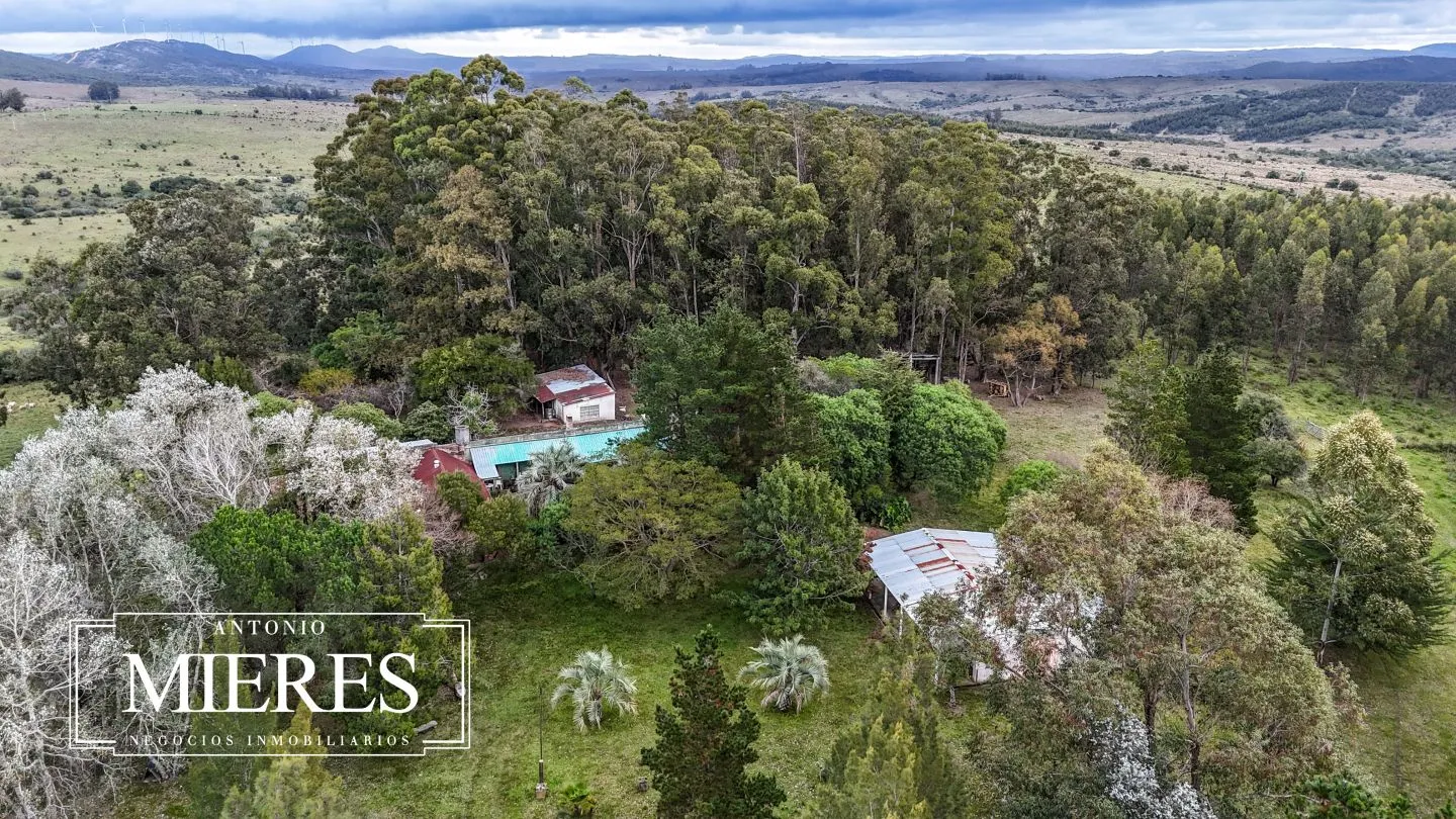 Chacra de 5 ha en venta con casco del siglo XVIII reformado, Maldonado Uruguay. — foto 9