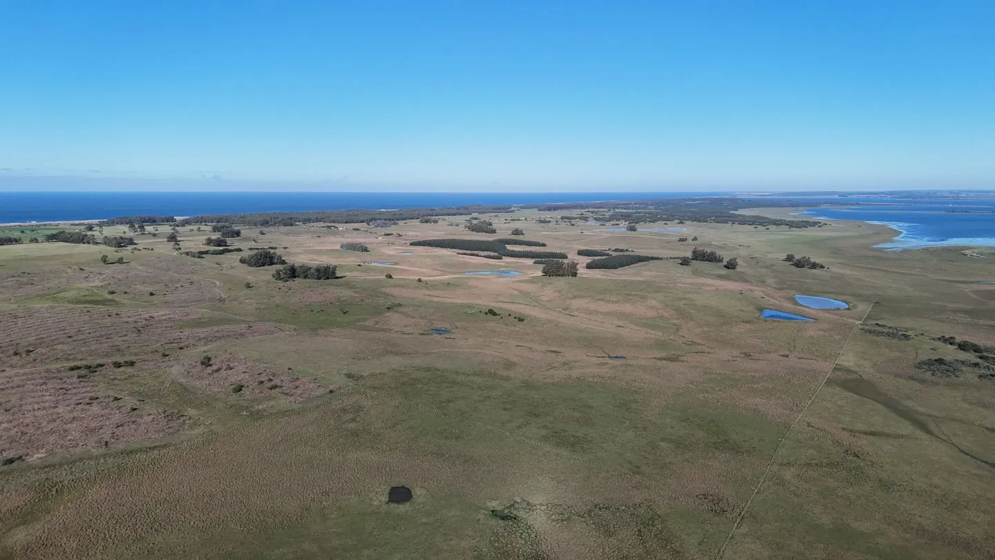 Campo en venta de 24 ha en ruta 10 las Garzas Rocha Uruguay — foto 12
