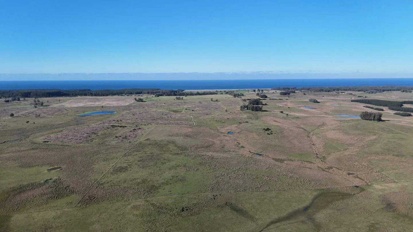 Campo en venta de 24 ha en ruta 10 las Garzas Rocha Uruguay — foto 13