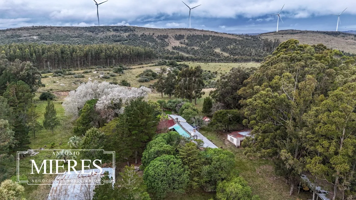 Chacra de 5 ha en venta con casco del siglo XVIII reformado, Maldonado Uruguay. — foto 10