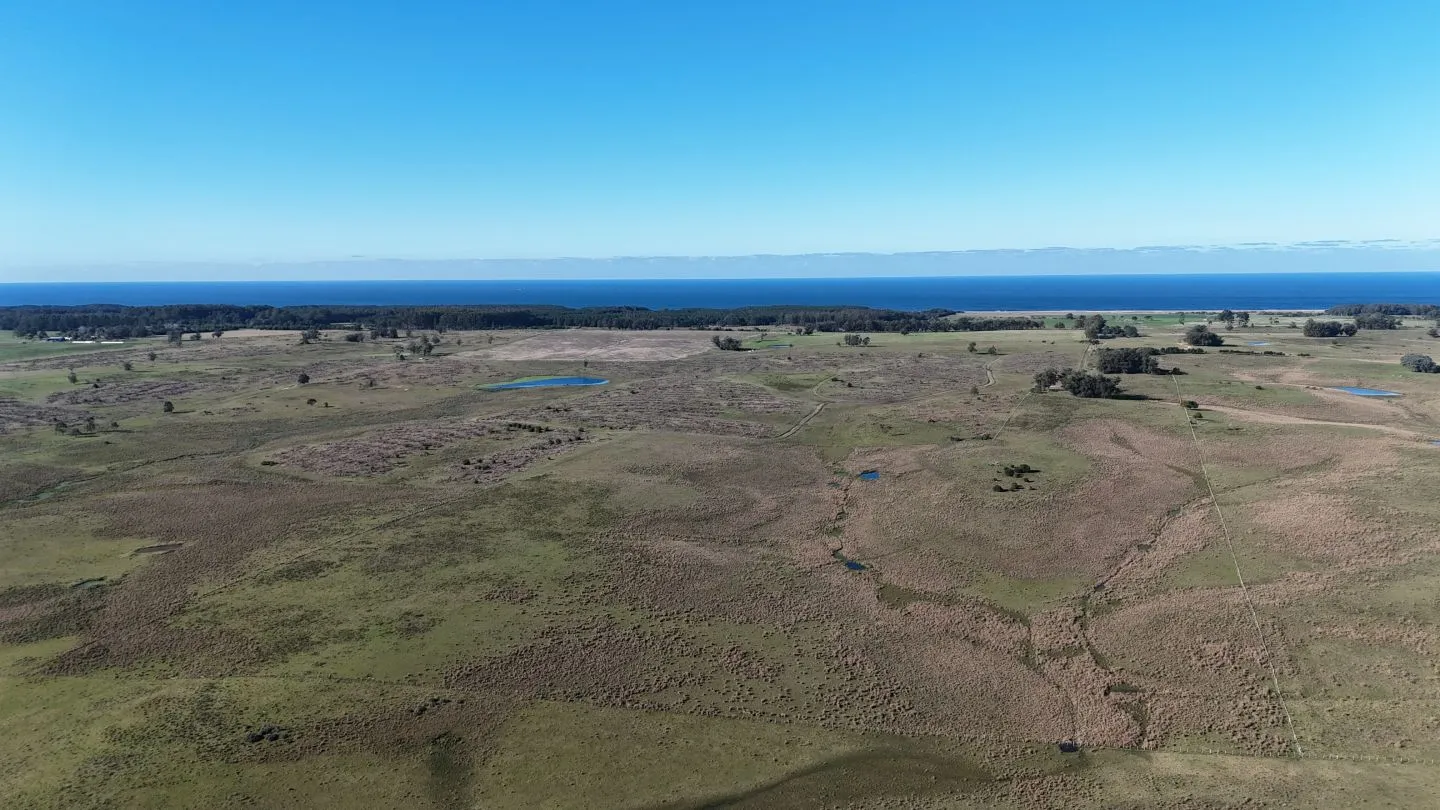 Campo en venta de 24 ha en ruta 10 las Garzas Rocha Uruguay — foto 14