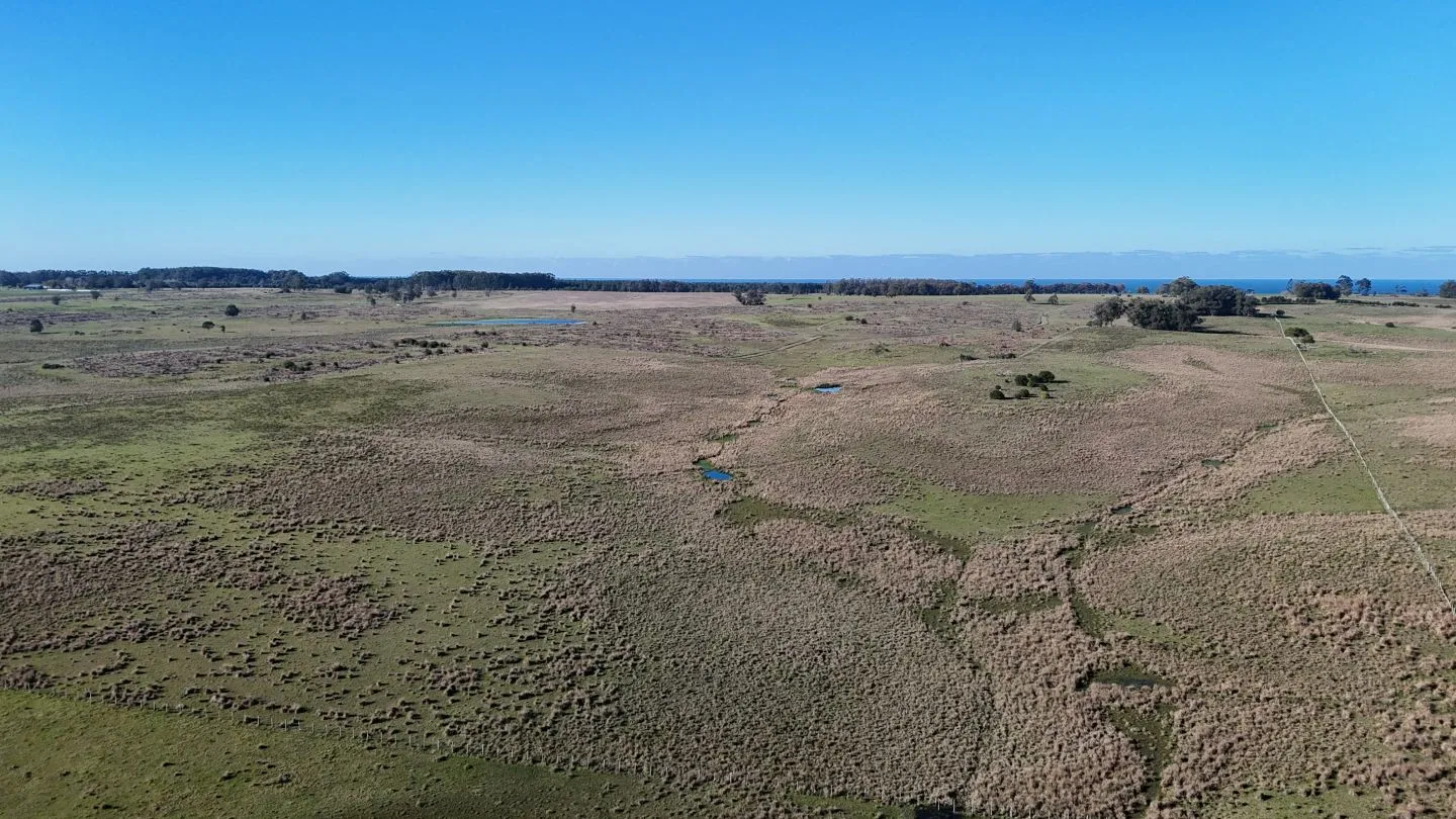 Campo en venta de 24 ha en ruta 10 las Garzas Rocha Uruguay — foto 15