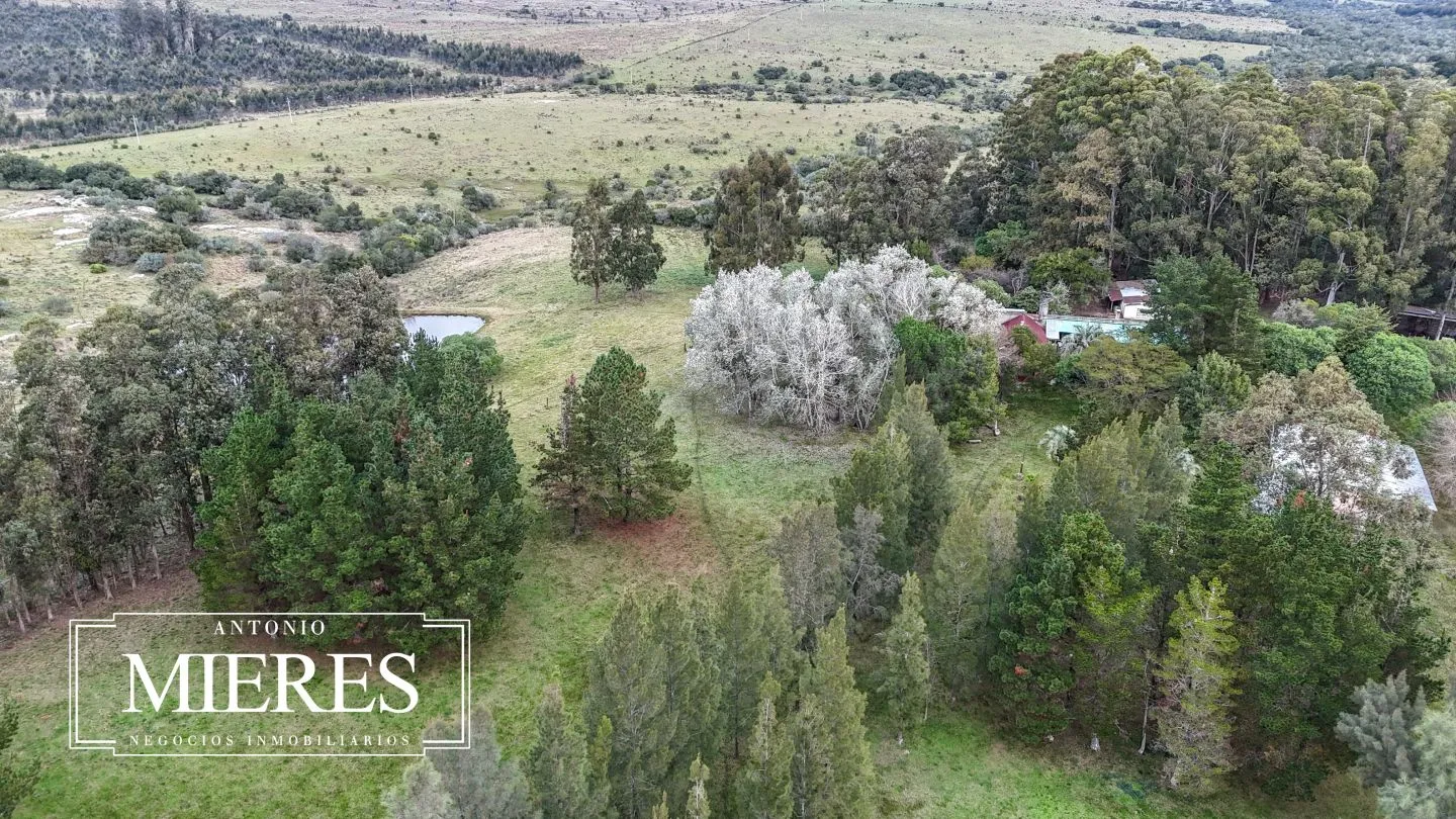 Chacra de 5 ha en venta con casco del siglo XVIII reformado, Maldonado Uruguay. — foto 12