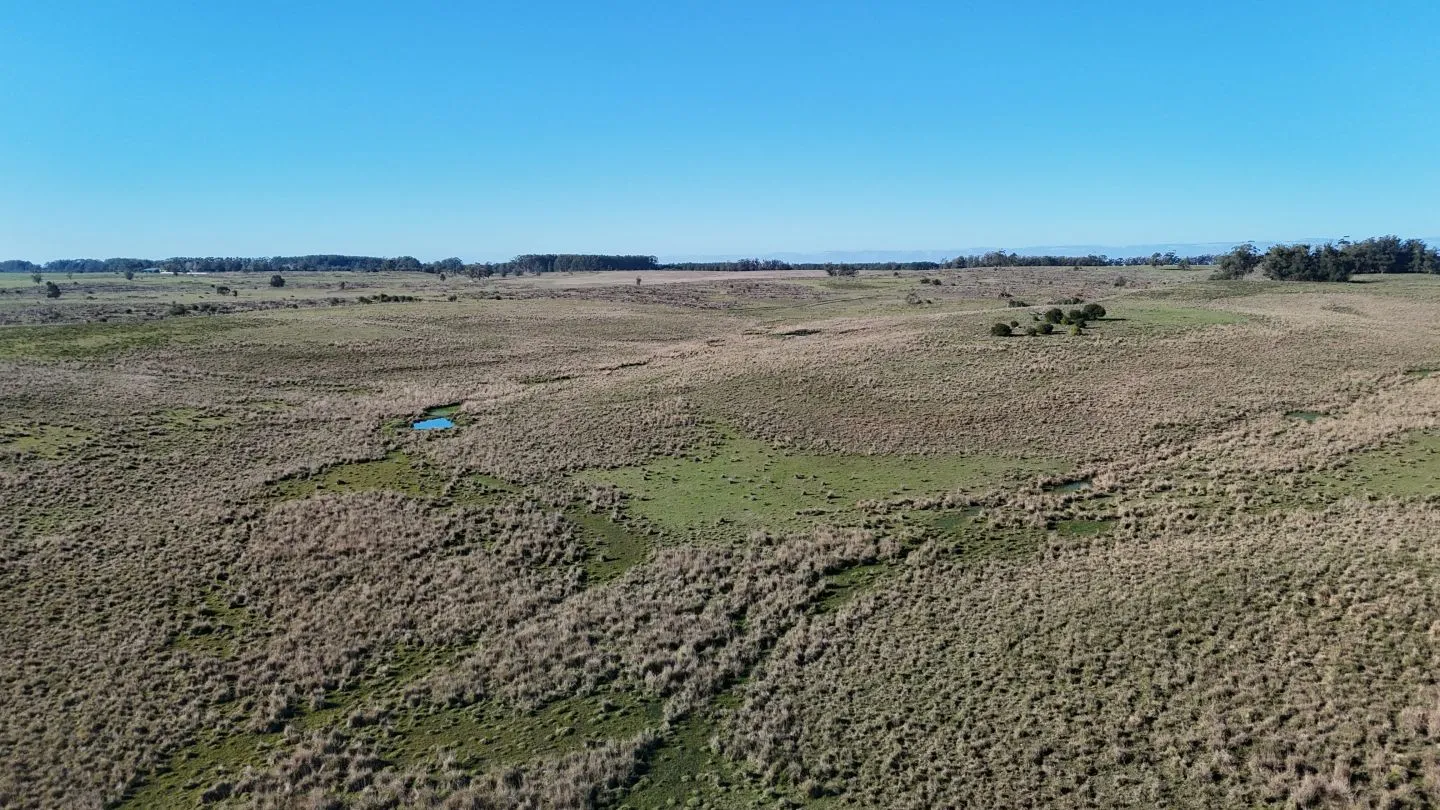 Campo en venta de 24 ha en ruta 10 las Garzas Rocha Uruguay — foto 16