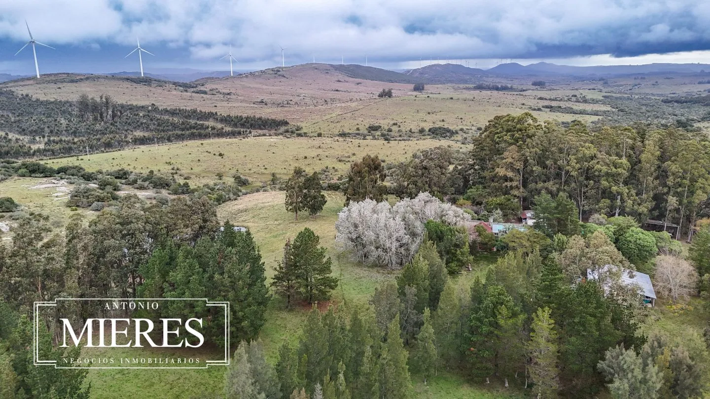 Chacra de 5 ha en venta con casco del siglo XVIII reformado, Maldonado Uruguay. — foto 13