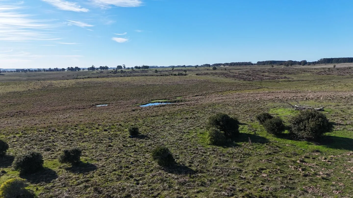 Campo en venta de 24 ha en ruta 10 las Garzas Rocha Uruguay — foto 17