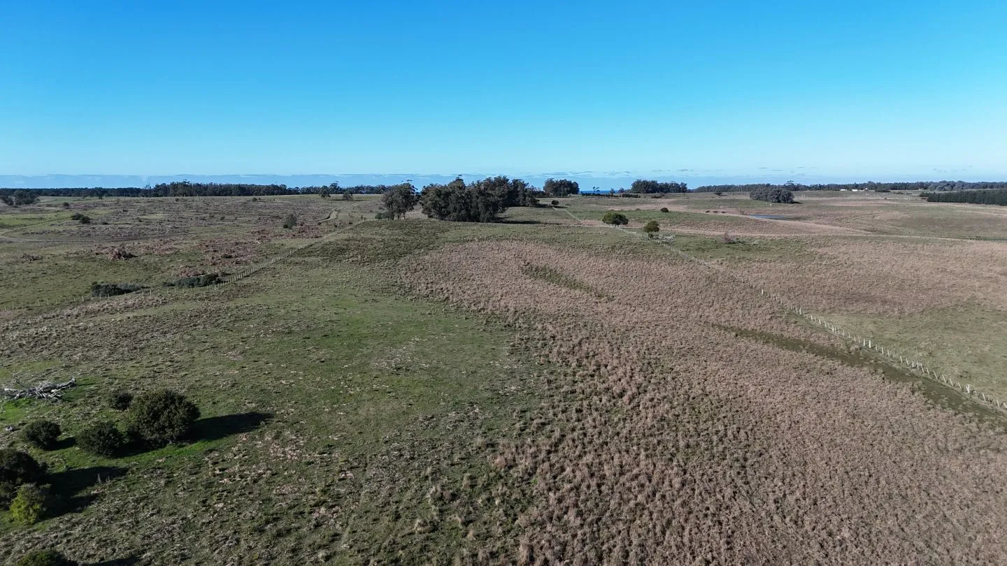 Campo en venta de 24 ha en ruta 10 las Garzas Rocha Uruguay — foto 18