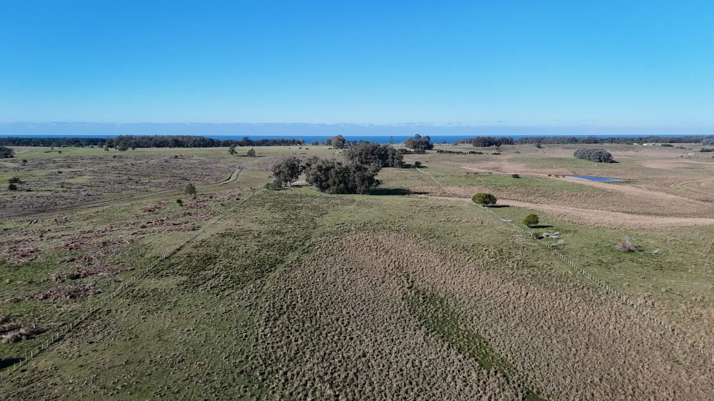 Campo en venta de 24 ha en ruta 10 las Garzas Rocha Uruguay — foto 19